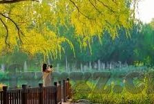 91麻豆天美精东蜜桃传媒-网络世界的多元娱乐探索，91麻豆天美精东蜜桃传媒与数字时代的内容创新