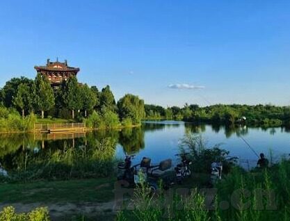 糖心app是哪里出的-探秘糖心APP的诞生之地，数字乐园中的甜蜜创造