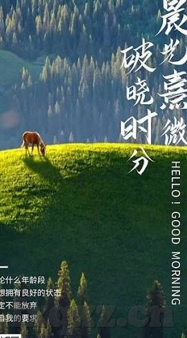 一区二区三区国产精华液区别-国产精华液，一区二区三区的差异与选择指南